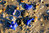 Set de moldes de arena azul Scrunch